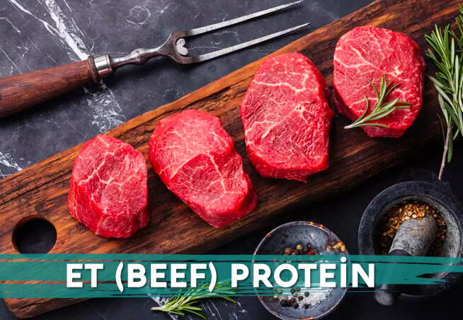 Et Protein Tozu Nedir ve Nasıl Kullanılır? Et Protein Tozu Nedir ve Nasıl Kullanılır?